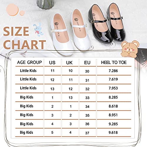 MIXIN Girls Mary Jane Dress Shoes - Princess Ballerina Flats Low Heels for School Party Wedding, Back to School Shoes for Girls (Little Kid/Big Kids) (5 Big Kid, Noble Black, Numeric_5)